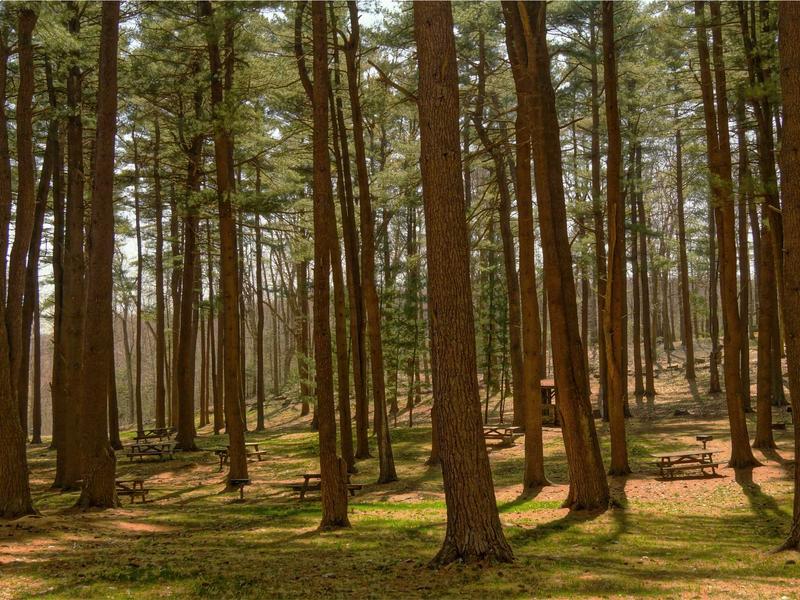 sudoku cross hatching screenshot 6