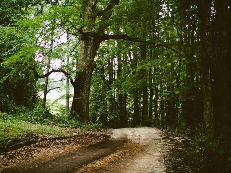 sudoku hints system screenshot 2